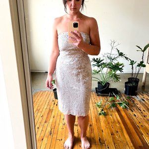 NWOT banana republic strapless lace cocktail dress size 6